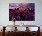 sampel poster NO